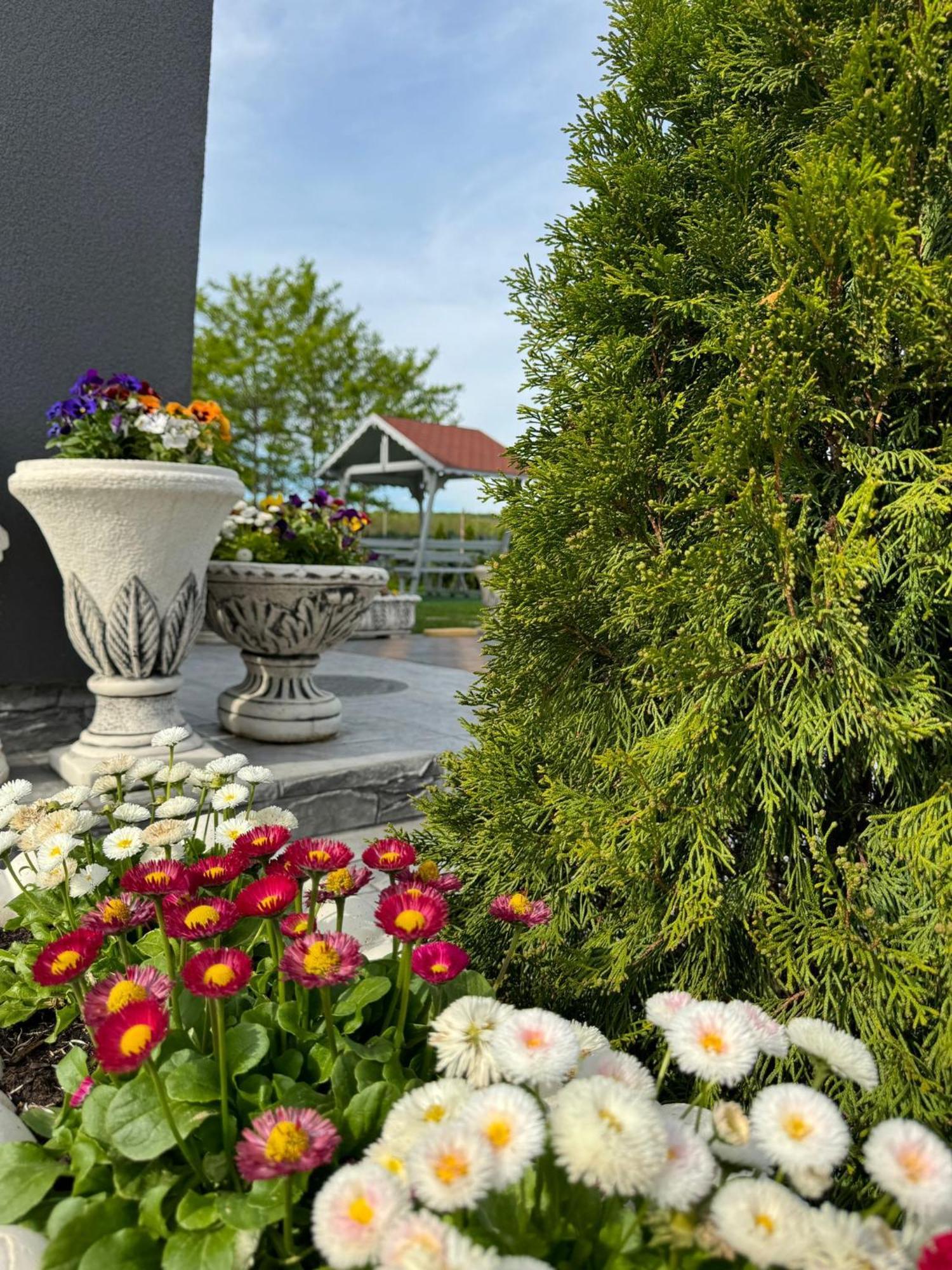 Stef Rooms Tirgu Frumos Exterior foto
